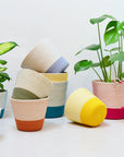 Mia Melange: Planter