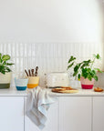 Mia Melange: Planter