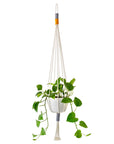 Mia Melange: Macramé Potplant Hangers