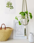 Mia Melange: Macramé Potplant Hangers