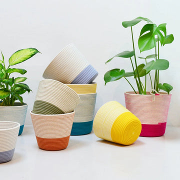 Mia Melange: Planter