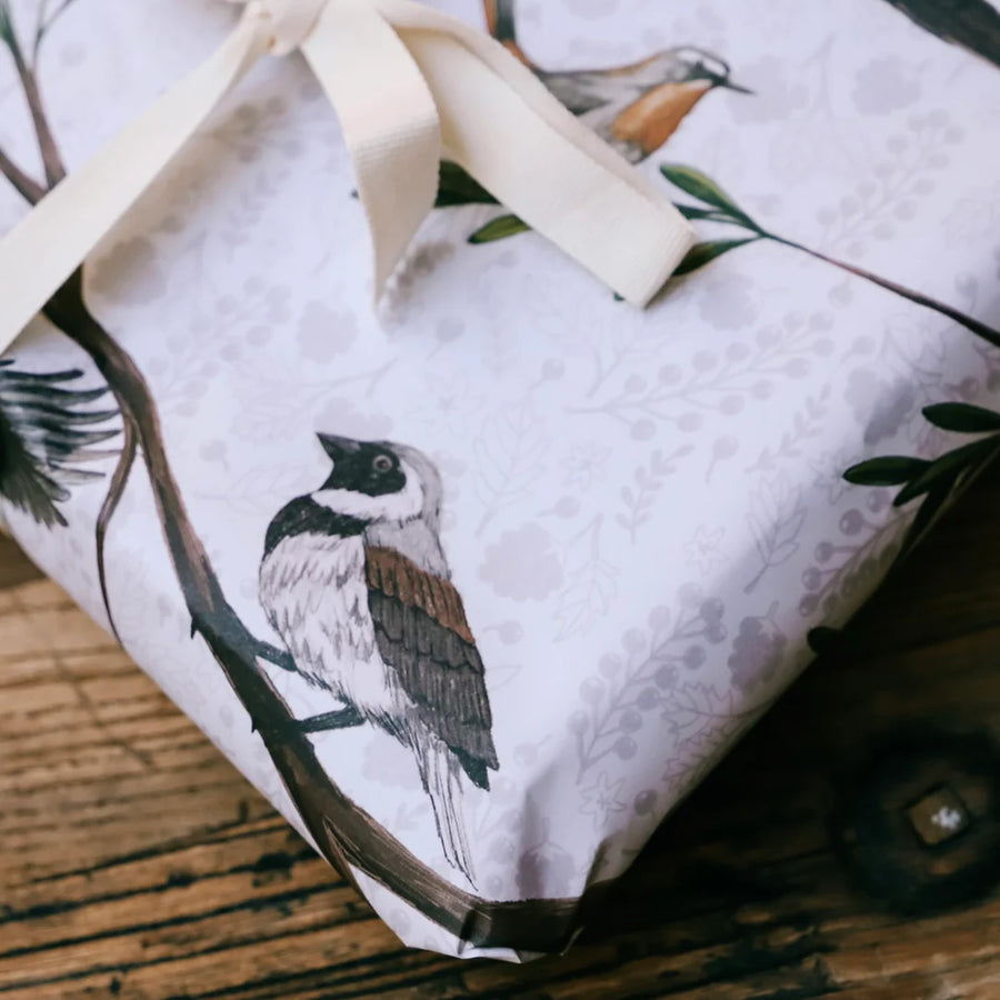 Feat. : Bird Watching Gift Wrapping